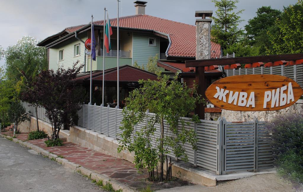 Discret Hotel & Restaurant Владая Экстерьер фото